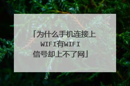 为什么手机连接上WIFI有WIFI信号却上不了网