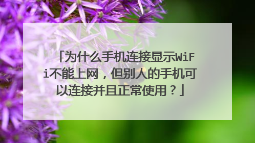 为什么手机连接显示WiFi不能上网,但别人的手机可以连接并且正常使用?