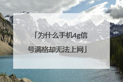 为什么手机4g信号满格却无法上网