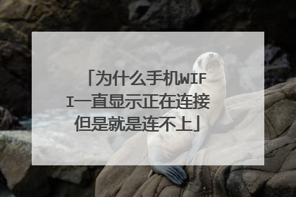 为什么手机WIFI一直显示正在连接但是就是连不上