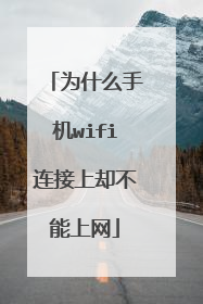 为什么手机wifi连接上却不能上网