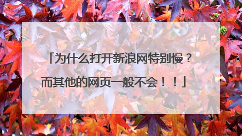 为什么打开新浪网特别慢?而其他的网页一般不会!!