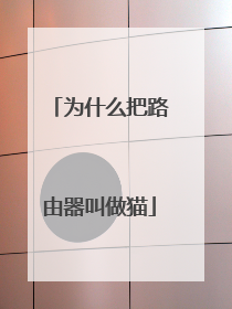 为什么把路由器叫做猫