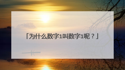 为什么数字1叫数字1呢？
