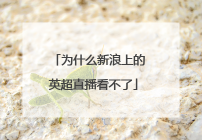 为什么新浪上的英超直播看不了