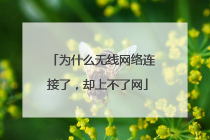 为什么无线网络连接了,却上不了网