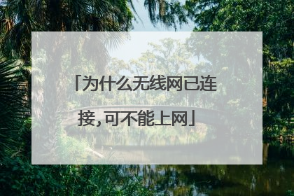 为什么无线网已连接,可不能上网