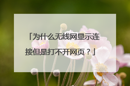 为什么无线网显示连接但是打不开网页？