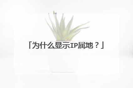 为什么显示IP属地？