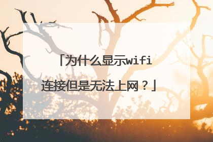为什么显示wifi连接但是无法上网?
