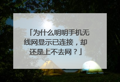 为什么明明手机无线网显示已连接,却还是上不去网?