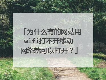 为什么有的网站用wifi打不开移动网络就可以打开？