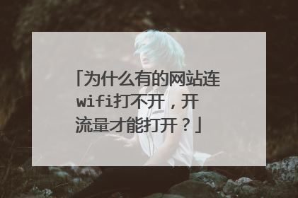 为什么有的网站连wifi打不开，开流量才能打开？