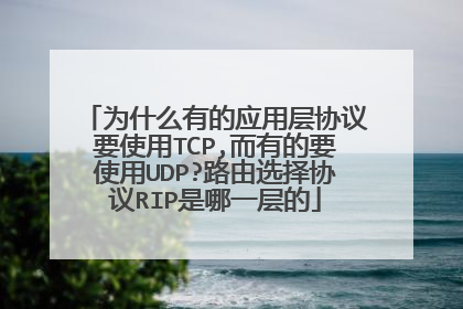 为什么有的应用层协议要使用TCP,而有的要使用UDP?路由选择协议RIP是哪一层的