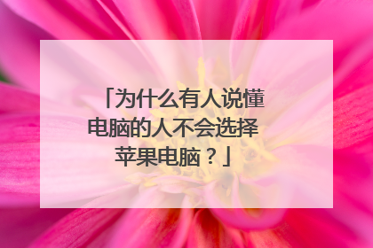 为什么有人说懂电脑的人不会选择苹果电脑?