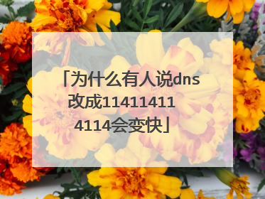 为什么有人说dns改成114114114114会变快