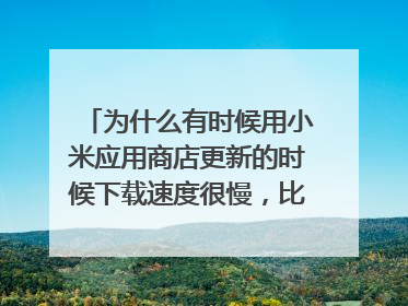 为什么有时候用小米应用商店更新的时候下载速度很慢,比如几十k,甚至停止下载了(绝对有网速),同一时