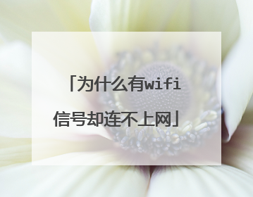 为什么有wifi信号却连不上网