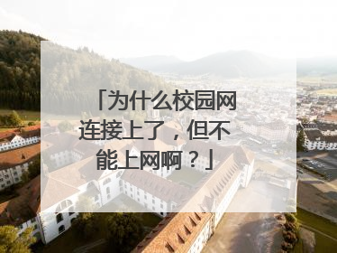 为什么校园网连接上了，但不能上网啊？