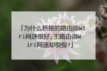 为什么桥接的路由器WiFi网速很好,主路由器WiFi网速却很慢?