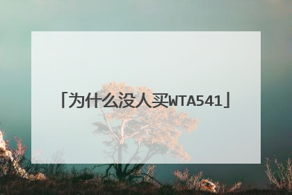 为什么没人买WTA541