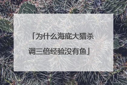 为什么海底大猎杀调三倍经验没有鱼