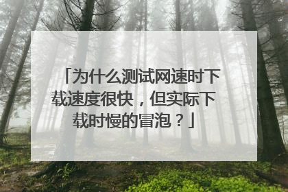 为什么测试网速时下载速度很快,但实际下载时慢的冒泡?