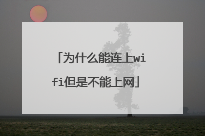 为什么能连上wifi但是不能上网