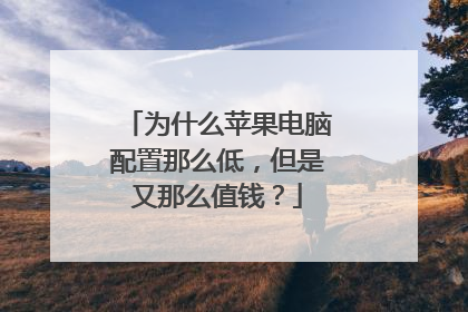 为什么苹果电脑配置那么低，但是又那么值钱？