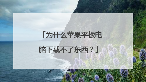 为什么苹果平板电脑下载不了东西?