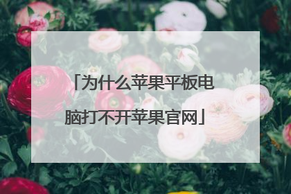为什么苹果平板电脑打不开苹果官网