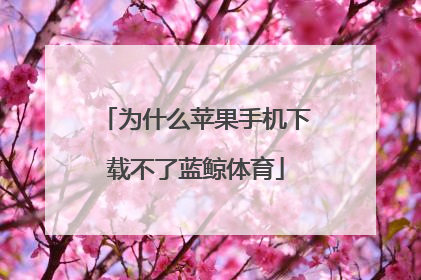 为什么苹果手机下载不了蓝鲸体育