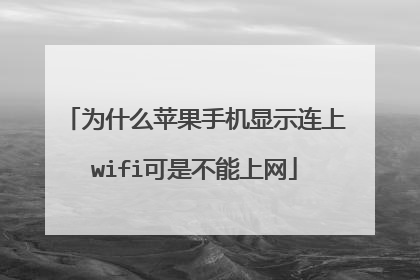 为什么苹果手机显示连上wifi可是不能上网