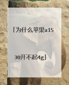 为什么苹果a1530开不起4g
