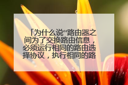 为什么说“路由器之间为了交换路由信息，必须运行相同的路由选择协议，执行相同的路由选择算法”？