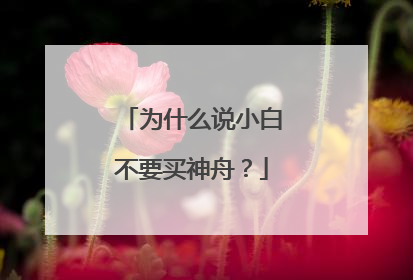 为什么说小白不要买神舟？