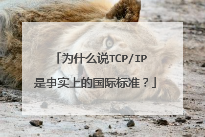 为什么说TCP/IP是事实上的国际标准?