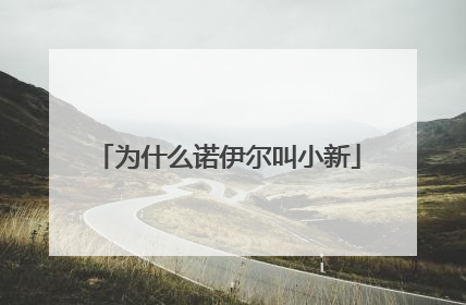 为什么诺伊尔叫小新