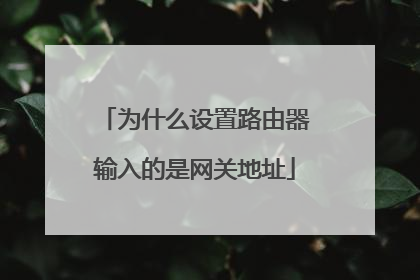 为什么设置路由器输入的是网关地址
