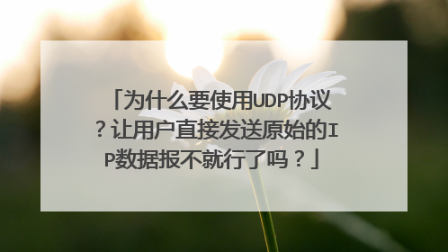 为什么要使用UDP协议?让用户直接发送原始的IP数据报不就行了吗?
