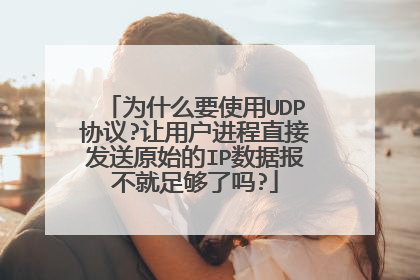 为什么要使用UDP协议?让用户进程直接发送原始的IP数据报不就足够了吗?