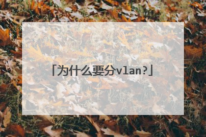 为什么要分vlan?