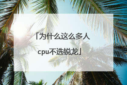 为什么这么多人cpu不选锐龙