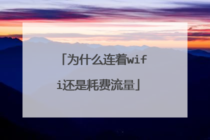 为什么连着wifi还是耗费流量