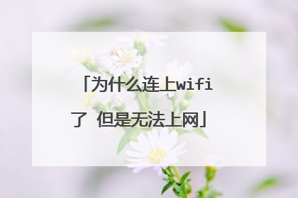 为什么连上wifi了 但是无法上网