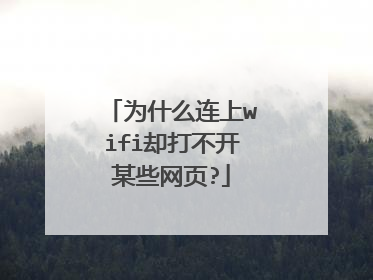 为什么连上wifi却打不开某些网页?