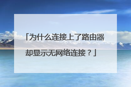 为什么连接上了路由器却显示无网络连接？