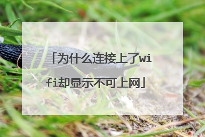 为什么连接上了wifi却显示不可上网