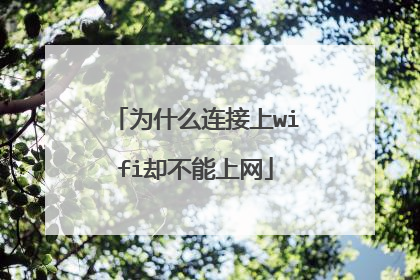 为什么连接上wifi却不能上网