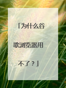 为什么谷歌浏览器用不了？